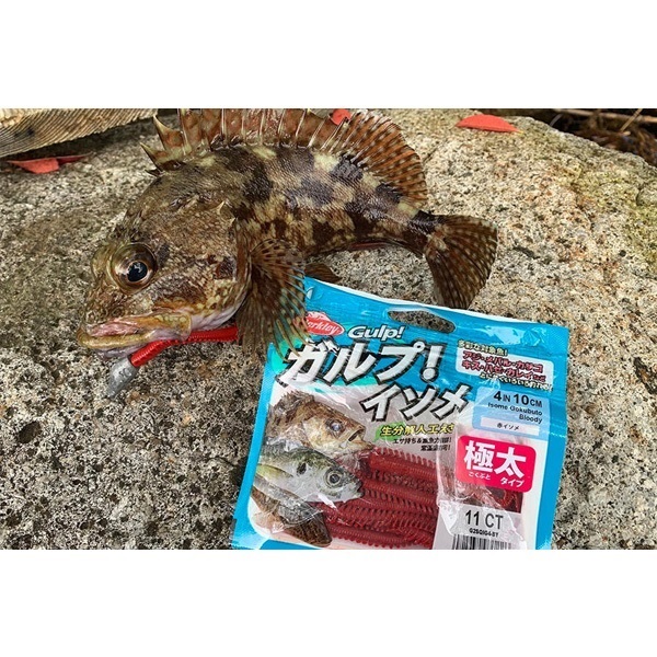 ガルプ!ソルトウォーターイソメ 極太 4インチ